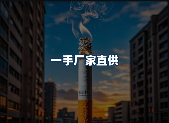 专业团队办公环境